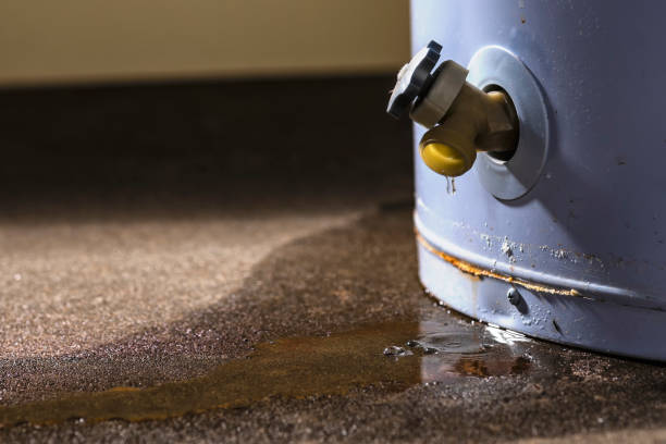 Best Carpet water damage restoration  in Bayshore, NC