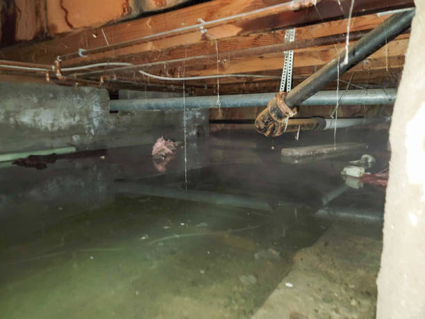 Best Water damage restoration near me  in Bayshore, NC