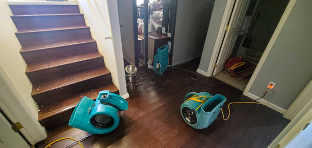 Best Sewage cleanup and water damage restoration  in Bayshore, NC