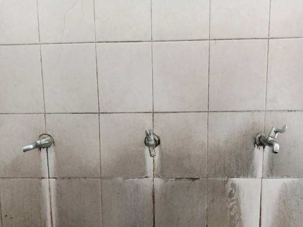 Best Basement water damage restoration  in Bayshore, NC