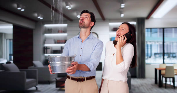  Bayshore, NC Water damage restoration Pros